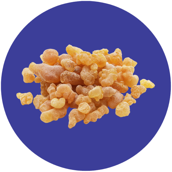 5loxin-ingredient-circle
