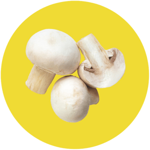 earthlight-ingredient-circle-1-1