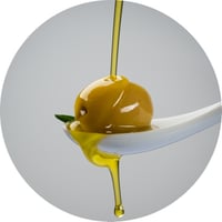 70-use-olive-oil-hytolive
