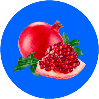 p40p-ingredient-circle