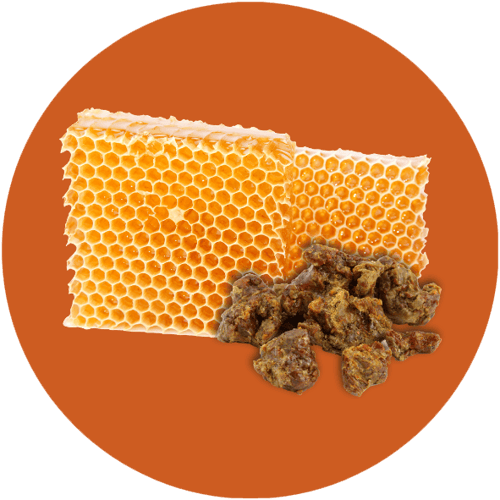 promunel-ingredient-circle-3