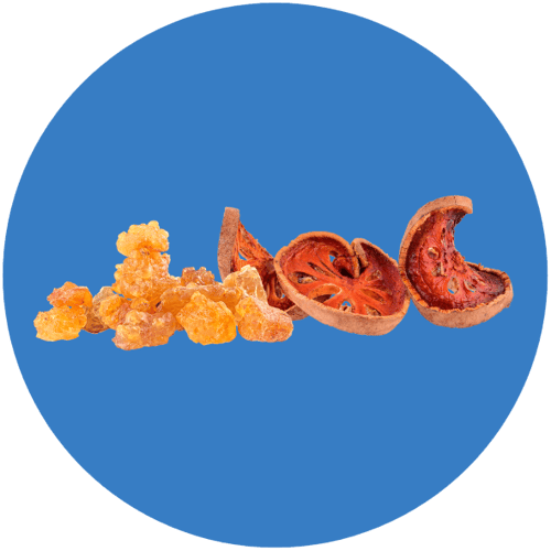 alviolife-ingredient-circle-1