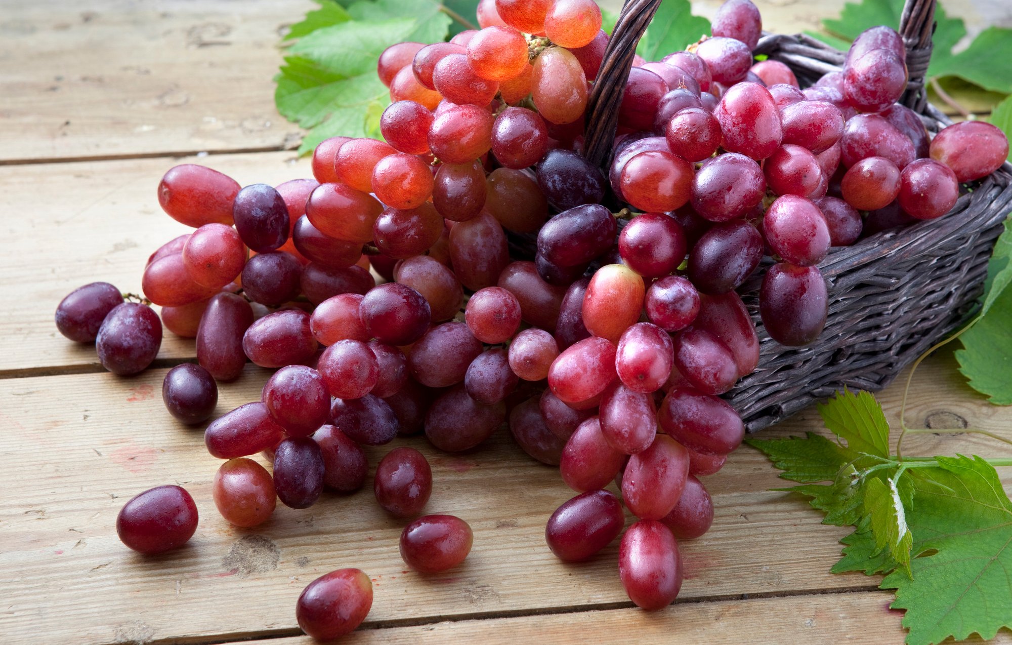 meganatural-ingredient-grapes-ej-gallo-1