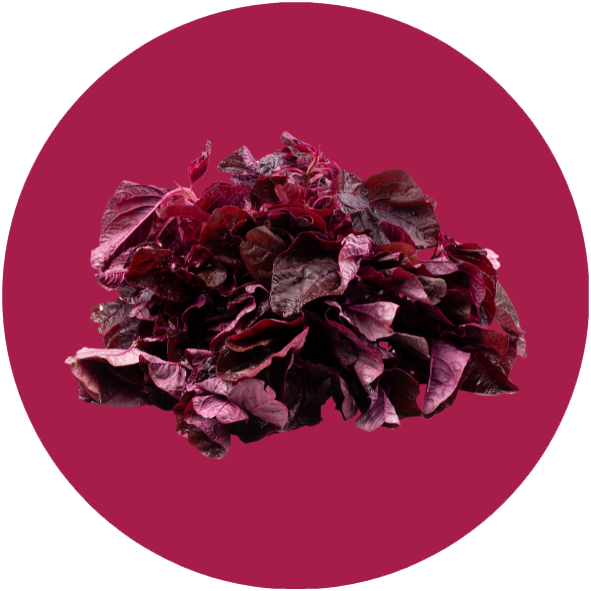 oxystorm-ingredient-circle-1