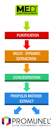 promunel-ingredient-chart-1-transparent-bg-preview