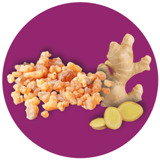 Serezin-ingredient-Image-v45-flipped
