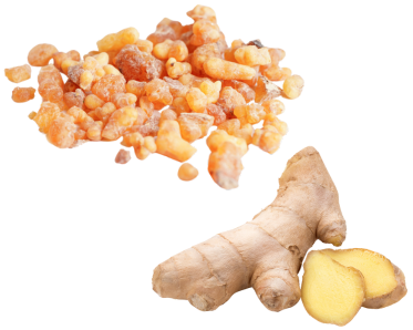 serezin-boswellia-serrata-ginger-root-ingredient-restorative-sleep-1