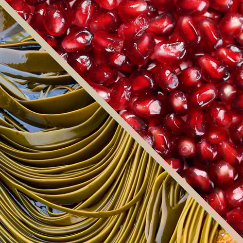 brown-seaweed-fucoxanthin-pomegranate-seed-punicic-acid-ingredient-xanthigen