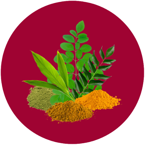 slendacor-ingredient-circle-crop